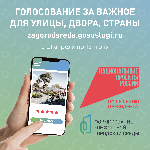 Голосование за важное для улицы, двора, страны